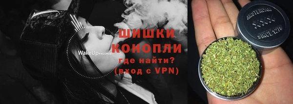 гидра Абаза