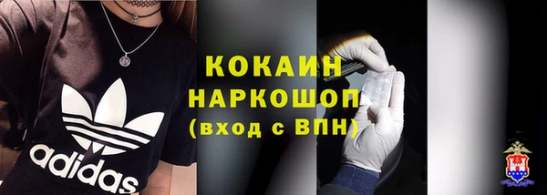 гидра Абаза