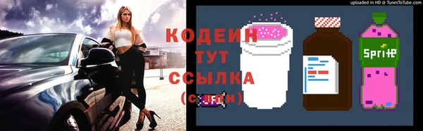 гидра Абаза