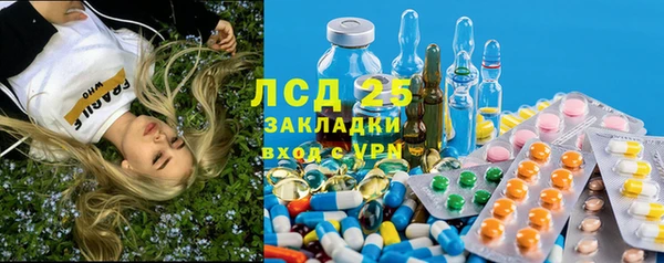 гидра Абаза
