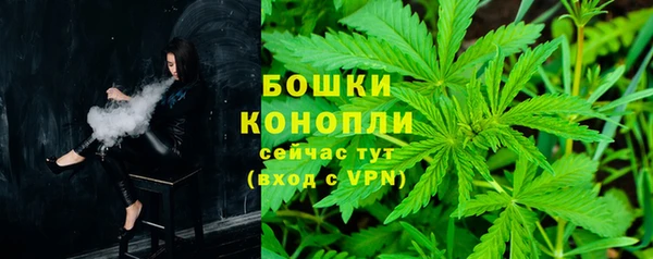 гидра Абаза