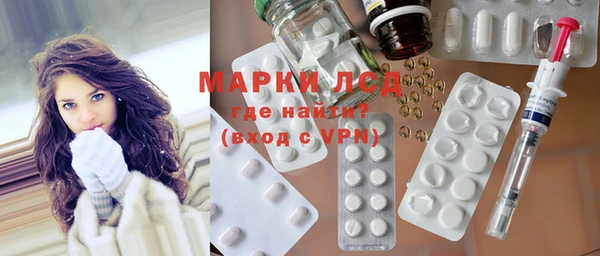 гидра Абаза